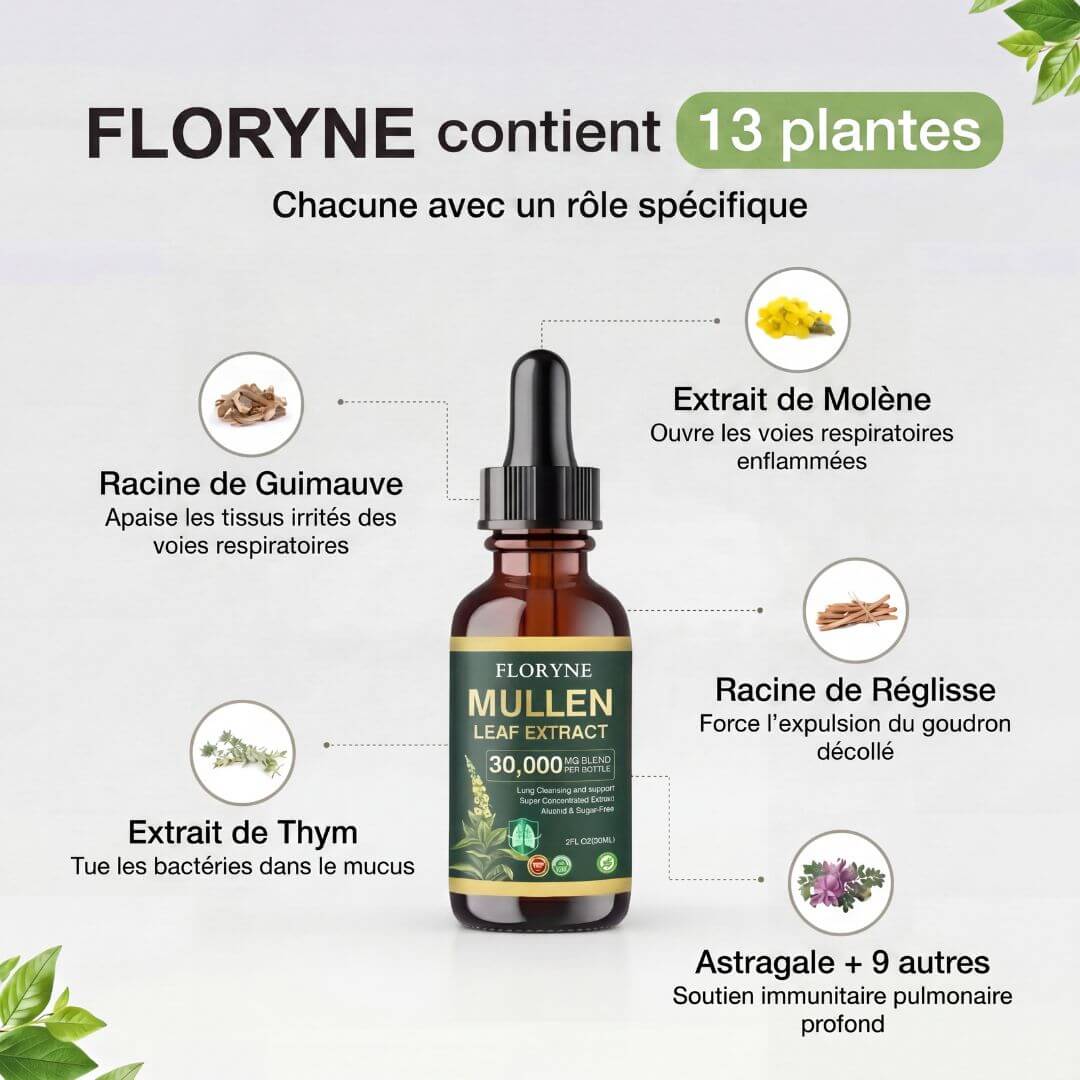 Brivelia - Retrouve ton Souffle