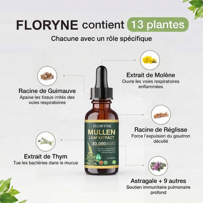 Brivelia - Retrouve ton Souffle