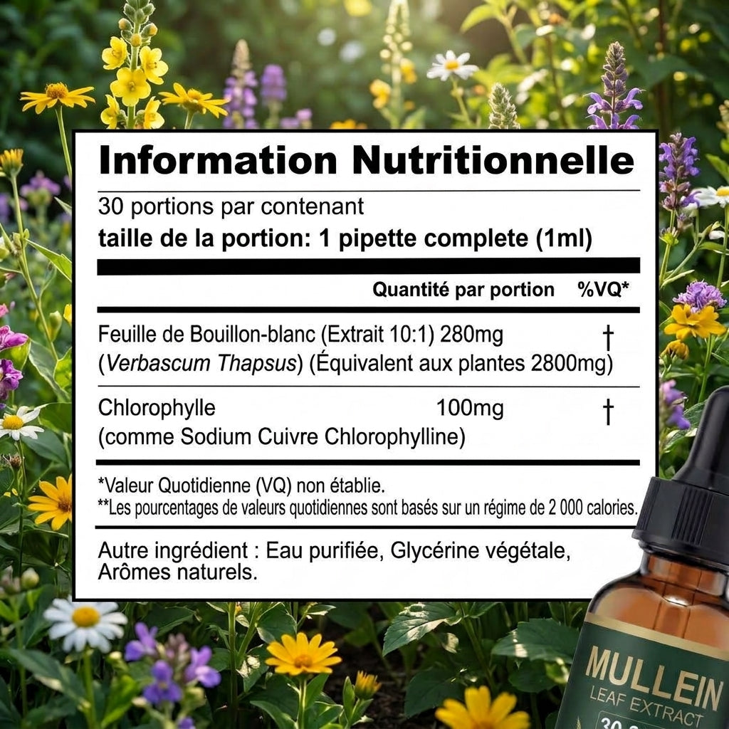 Brivelia - Retrouve ton Souffle
